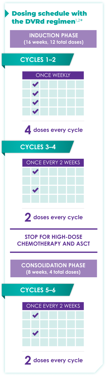 Chart showing dosing schedule with the DVRd regimen